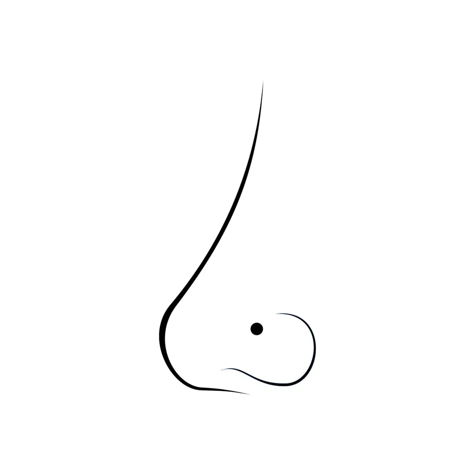 nose-stud-w_4d0db90b-8ecd-481d-9.webp
