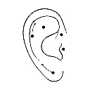 Ear_vector_labret-w_34298e72-6ea.webp